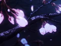 一期一會:일기일회