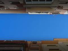 너에게 묻는다 [맹우/VW]