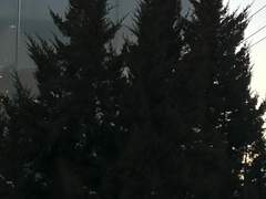 뽐.디.유의 첫 만남 o(*￣▽￣*)ブ