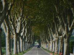 당신의 영원한 02