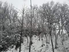 인생에 길안내가 필요해.