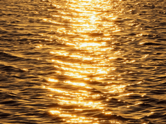 우성명헌/ Prove It 06.