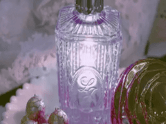 뿌리면 무조건 xx하는 xx 上