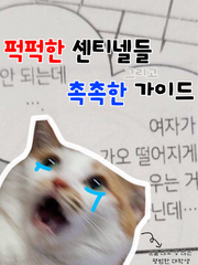 퍽퍽한 센티넬들 그리고 촉촉한 가이드