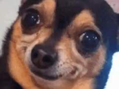 자, 너희들의 힘을 보여줘!