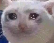 주술회전 유타×드림(일본어를 해야하는 이유)