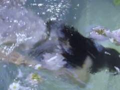 희망이란 꽃으로!