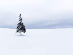 삿포로에 갈까요 01