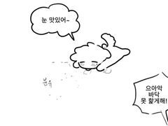 (리퀘) 1월 2주 (논컾)