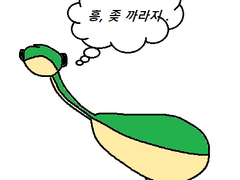 에이펙스 네시