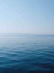 커미션 완성본들