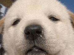 넣어둬 넣어둬...