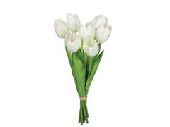 겨울에 찾아온 나의 사랑