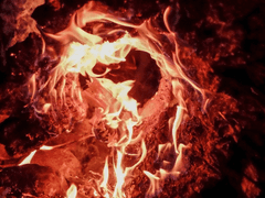 00# 𝓅𝓇ℴ𝒻𝒾𝓁ℯ