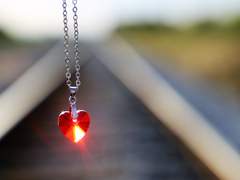 독고 윤 / 男 / 19