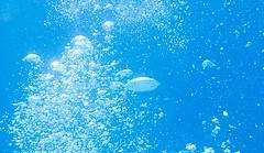 담천, 빛가림과 순환.