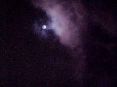 (블랙보이) 작은 행성 이야기