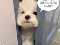 학교 화장실에서 폰섹녀 잡아서 한 썰