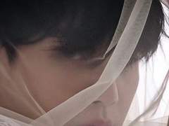 (Archive. Ⅵ - ⅰ)