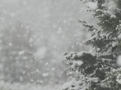 [겨울신화] 눈보라의 시작