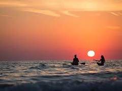 파도는 당신의 맥박을 닮았다.