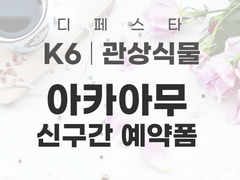 [디페스타/K6] 아카아무 신구간 선입금/통신판매 안내