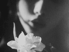 우리의 오필리아 Prologue