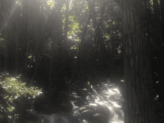 우리의여름은영원했다