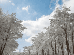 [도소] 겨울바람 형산에 닿아 0