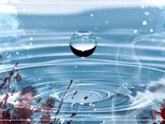 그래, 우리 물이 가득한 곳으로 갈까.