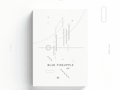 [우성태섭] BLUE PINEAPPLE