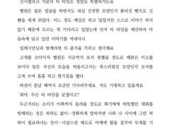 마비노기 : 별을 보는 자