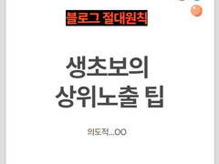 쌩초보 블로그, 상위노출 하는 방법