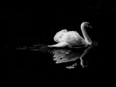 [마블/MCU 드림]백지