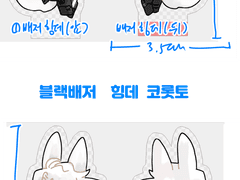 [블랙배저] 힝데 코롯토 통판(~1/21)