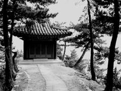 근원根源으로부터