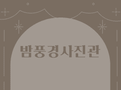 🌙 [밤풍경 사진관] - 라케티카 대삼림 theme info