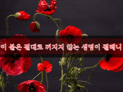 [ I | 28세 | Obicis | (극)소수합격 요소 여부 X ]