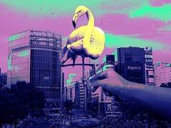 - CLAN QUEEN, Tokyo Mood