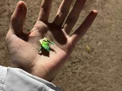 [BDSM/기록]72-가치