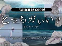 돗치가 이이? 3기 프로필 양식