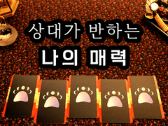 [타로] 상대가 반하는 나의 매력은 무엇일까?