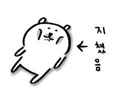 드림주가 잘 때 드림캐는