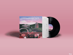 [앨범아트] 백현 '놀이공원' 앨범 커버 리디자인