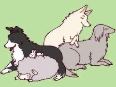 동물 모에화 샘플