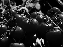 그 날의 아침부터 끝을 맺을 날의 저녁까지