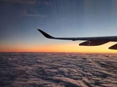 잘 데리고 살아야겠다