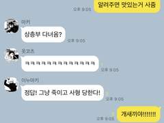 🌨️ 우당탕탕 드림주의 고전 적응기 카피페 (12)