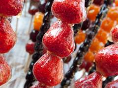 [D-356] 축제는 영원할 수 없으니까