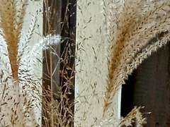 썰 [라스다인] 모음